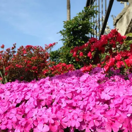 La Palma Tatil Evi Cissano